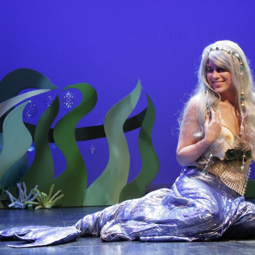 Die kleine Meerjungfrau