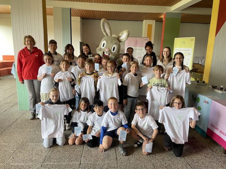 EVN – Workshop