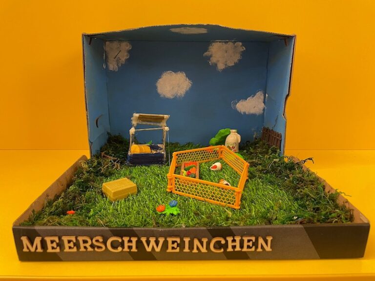 Buchschachteln 4. Klassen